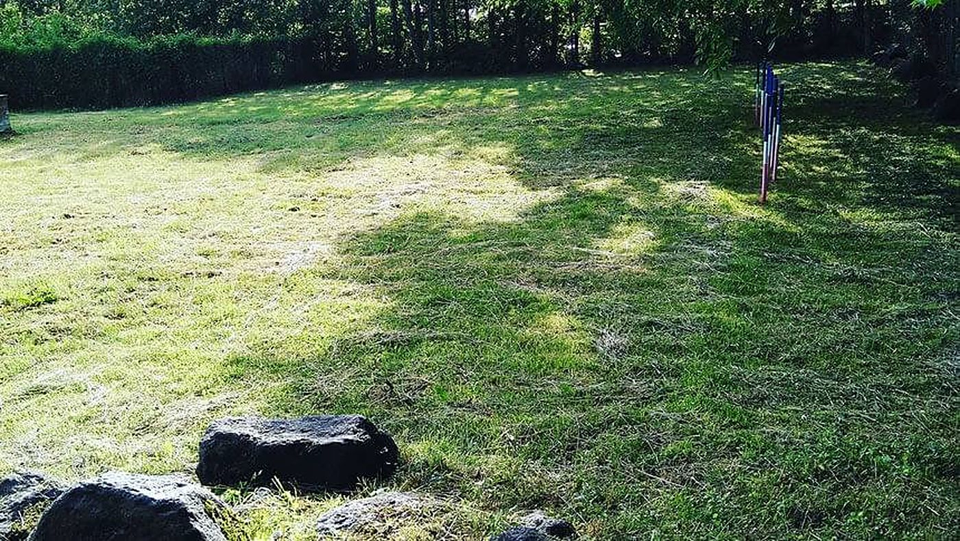 芝生のドッグラン